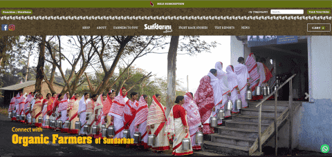 Case Study of Sundarini Naturals with Algoflow